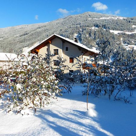 Appartement Fewo Lechner à Aschau Im Zillertal Extérieur photo