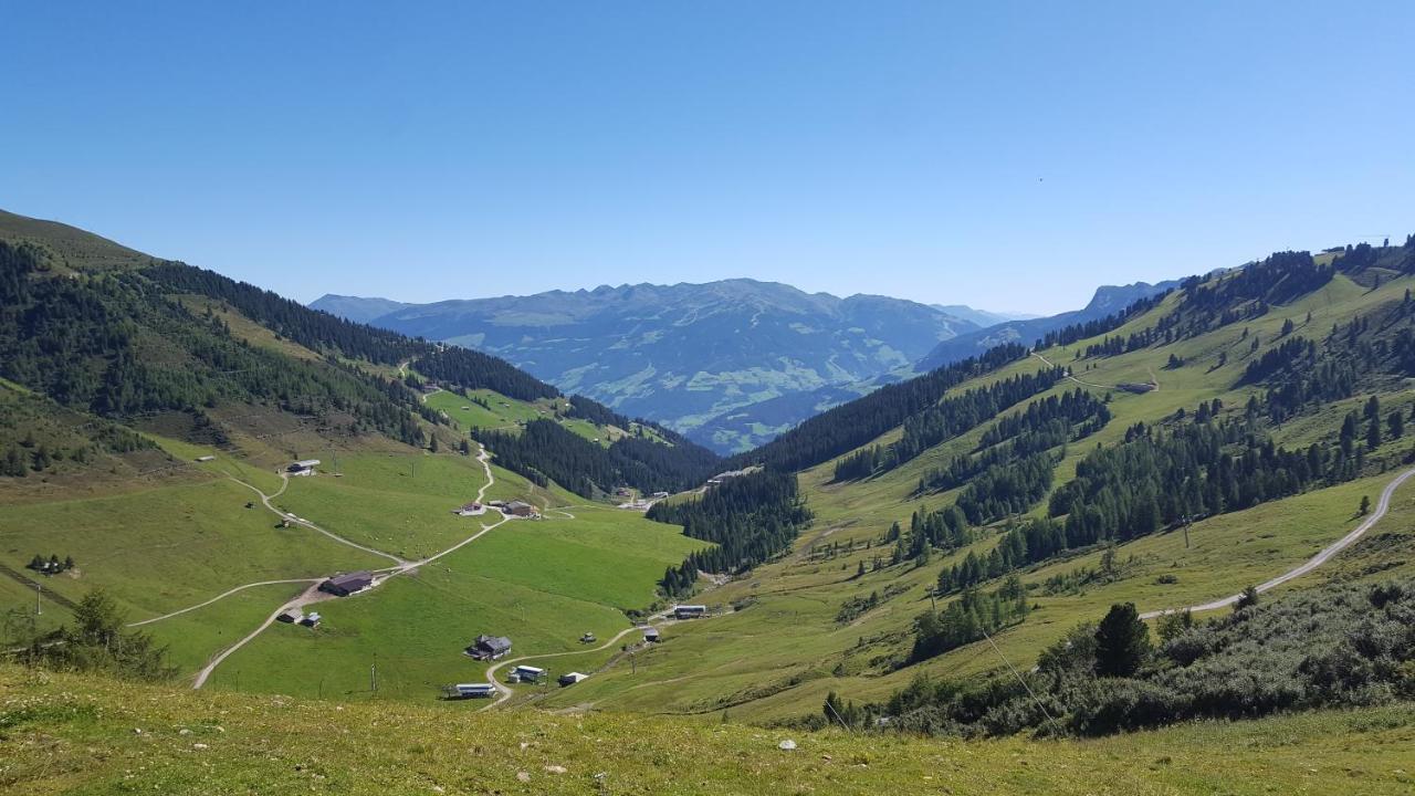 Appartement Fewo Lechner à Aschau Im Zillertal Extérieur photo