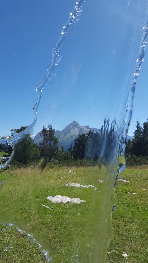Appartement Fewo Lechner à Aschau Im Zillertal Extérieur photo